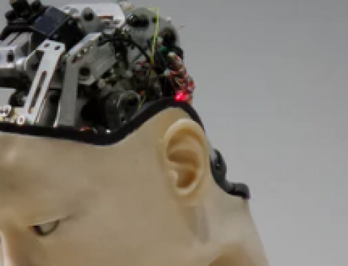 Robots go to the “bottom”: forecasts for automation in mining